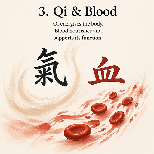 Qi and Blood Circulation