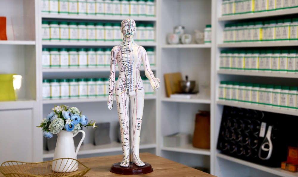 Acupuncture meridian model and Chinese herbal medicine shelves at Ethan Zhang’s clinic